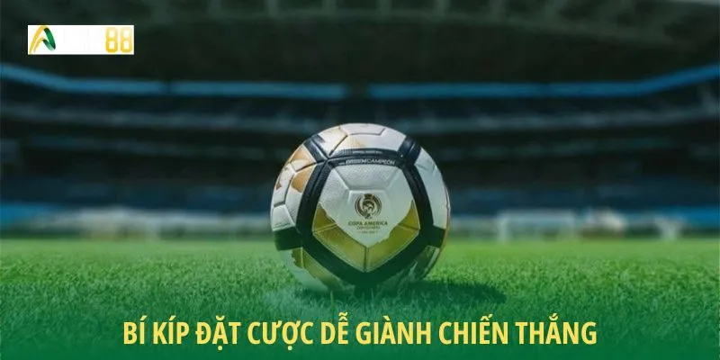 Bí kíp đặt cược dễ giành chiến thắng