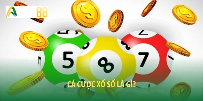 Cá cược xổ số là gì?
