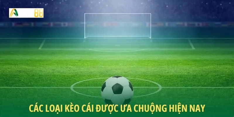 Các loại kèo cái được ưa chuộng hiện nay