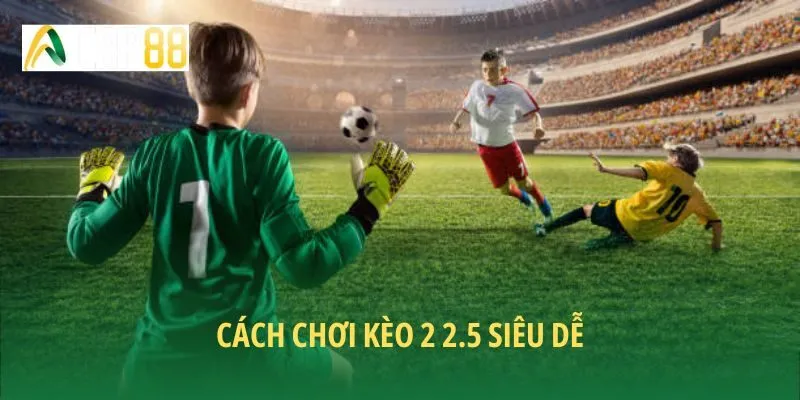 Cách đặt kèo 2 2.5 dễ thắng