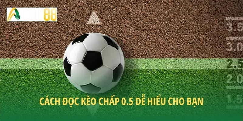 Cách đọc kèo 0.5 dễ hiểu cho mọi người