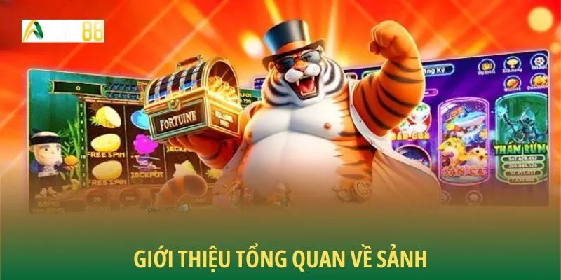 Giới thiệu tổng quan về sảnh
