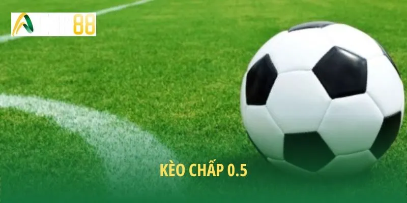 Kèo chấp 0.5