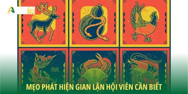 Mẹo phát hiện gian lận hội viên cần biết