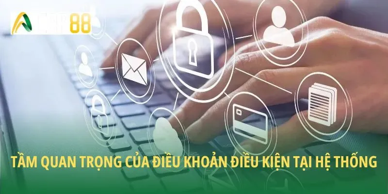 Tầm quan trọng của điều khoản điều kiện tại hệ thống