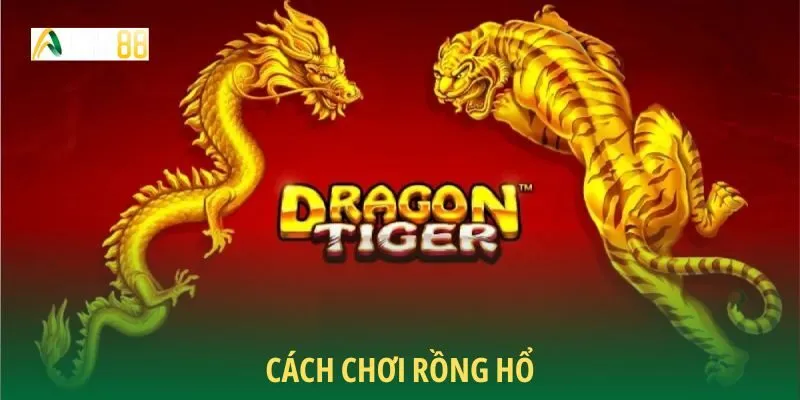 Tìm hiểu cách chơi rồng hổ